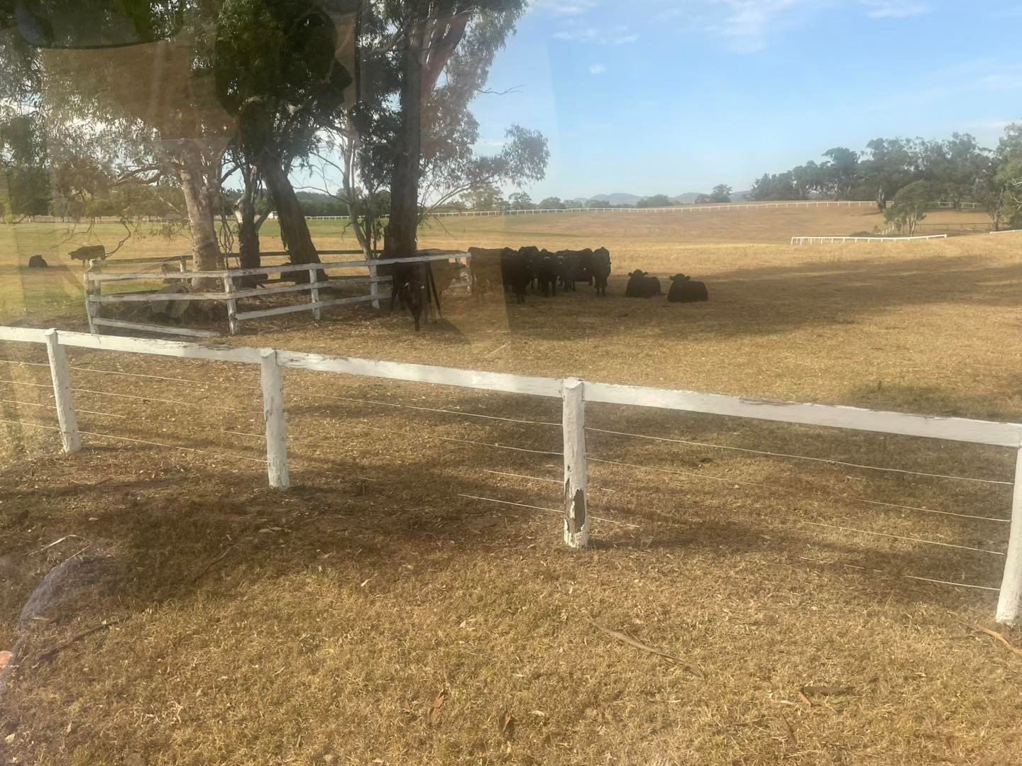 Dubbo Zoo 2025 Image -67de04c33e1be